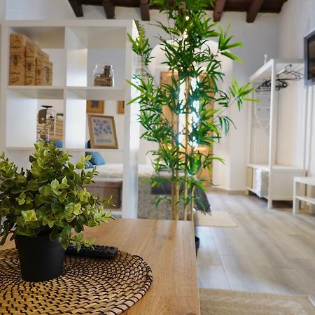 Apartamento Astaregia Jerez de la Frontera Eksteriør billede